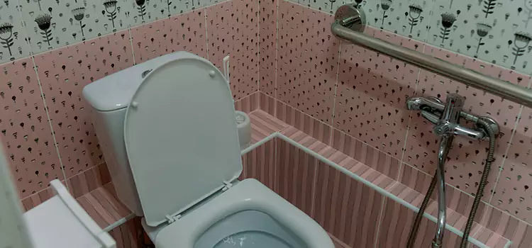 Meeting Diverse Needs With Accessible Restroom Solutions in East Lansing, MI
